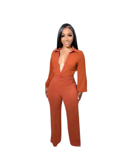 Solid Color V Neck Long Sleeve Jumpsuits